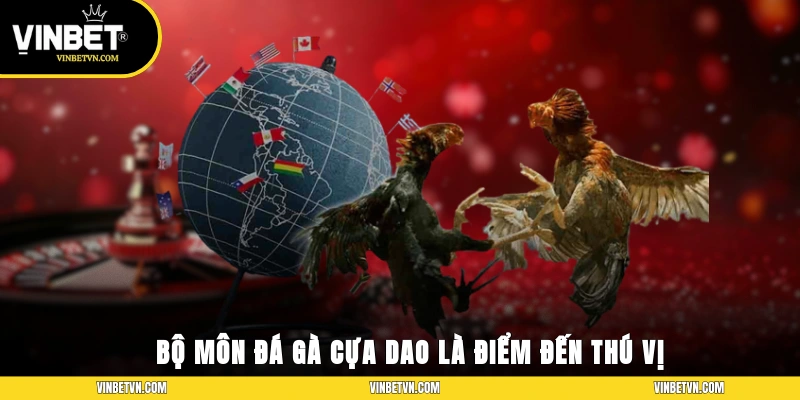 Bộ môn đá gà cựa dao là điểm đến thú vị của nhiều người
