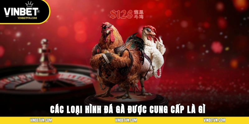 Các loại hình đá gà được cung cấp là gì?