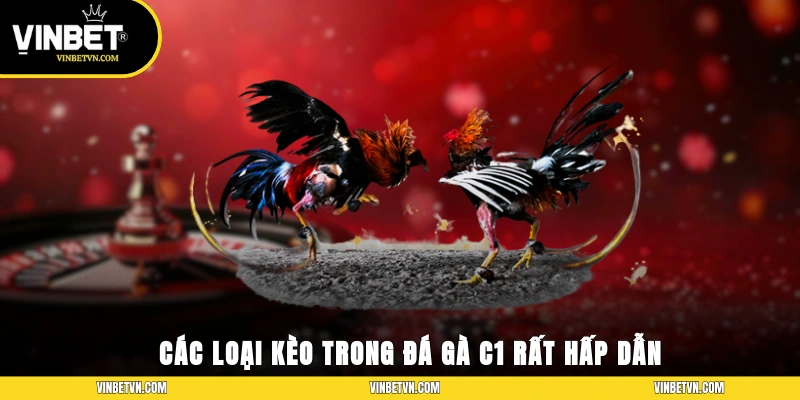 Các loại kèo trong đá gà C1 rất hấp dẫn