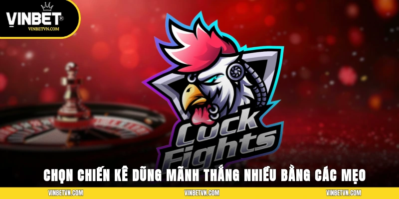 Chọn chiến kê dũng mãnh, thắng nhiều bằng các mẹo của cao thủ
