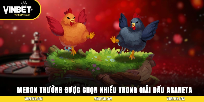 Meron thường được chọn nhiều trong giải đấu Araneta