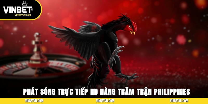 Phát sóng trực tiếp HD hàng trăm trận đá gà Philippines